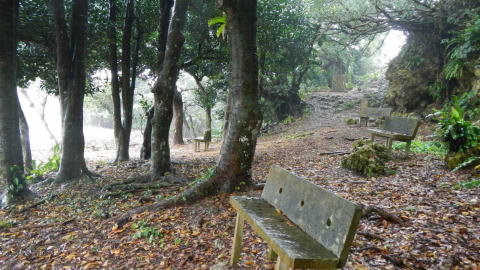 ブリブチ公園 不気味なベンチ