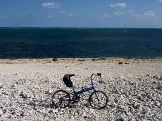 フライデー・イン・白保の海