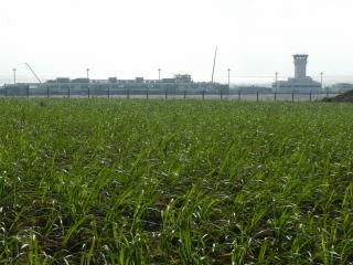 遠くに新空港