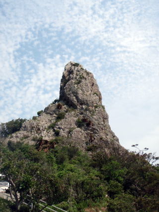 陸ギタラ