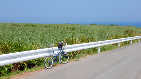 キビ畑＆フライデー