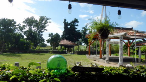 そば屋から見た公園