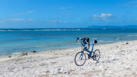 フライデー・イン・仲本海岸