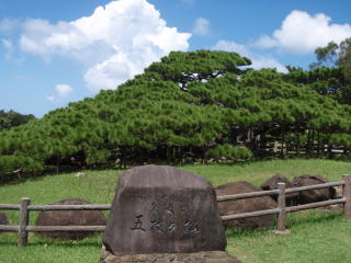 五枝の松