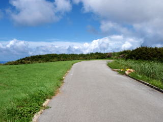 宇江城城跡からの帰り道