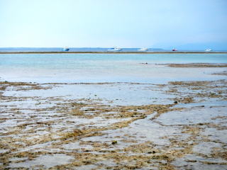 仲本海岸