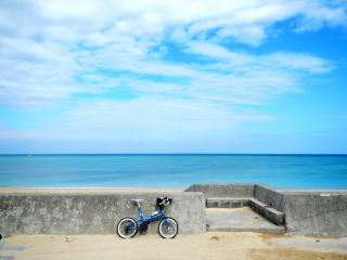 今泊の海＆フライデー