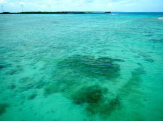 池間大橋からの海