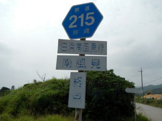 県道２１５終点