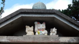 大原神社のネコ