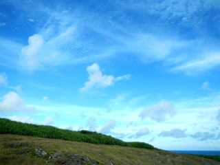 青空（こんなに晴れてたっけ？）